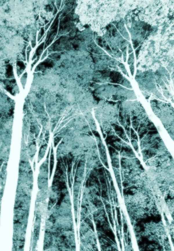 no one saw me standing there Poster 4