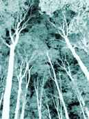 no one saw me standing there Poster 1