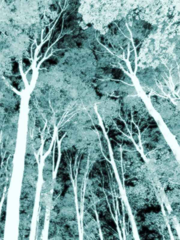 no one saw me standing there Poster 1