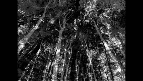 no one saw me standing there Poster 3