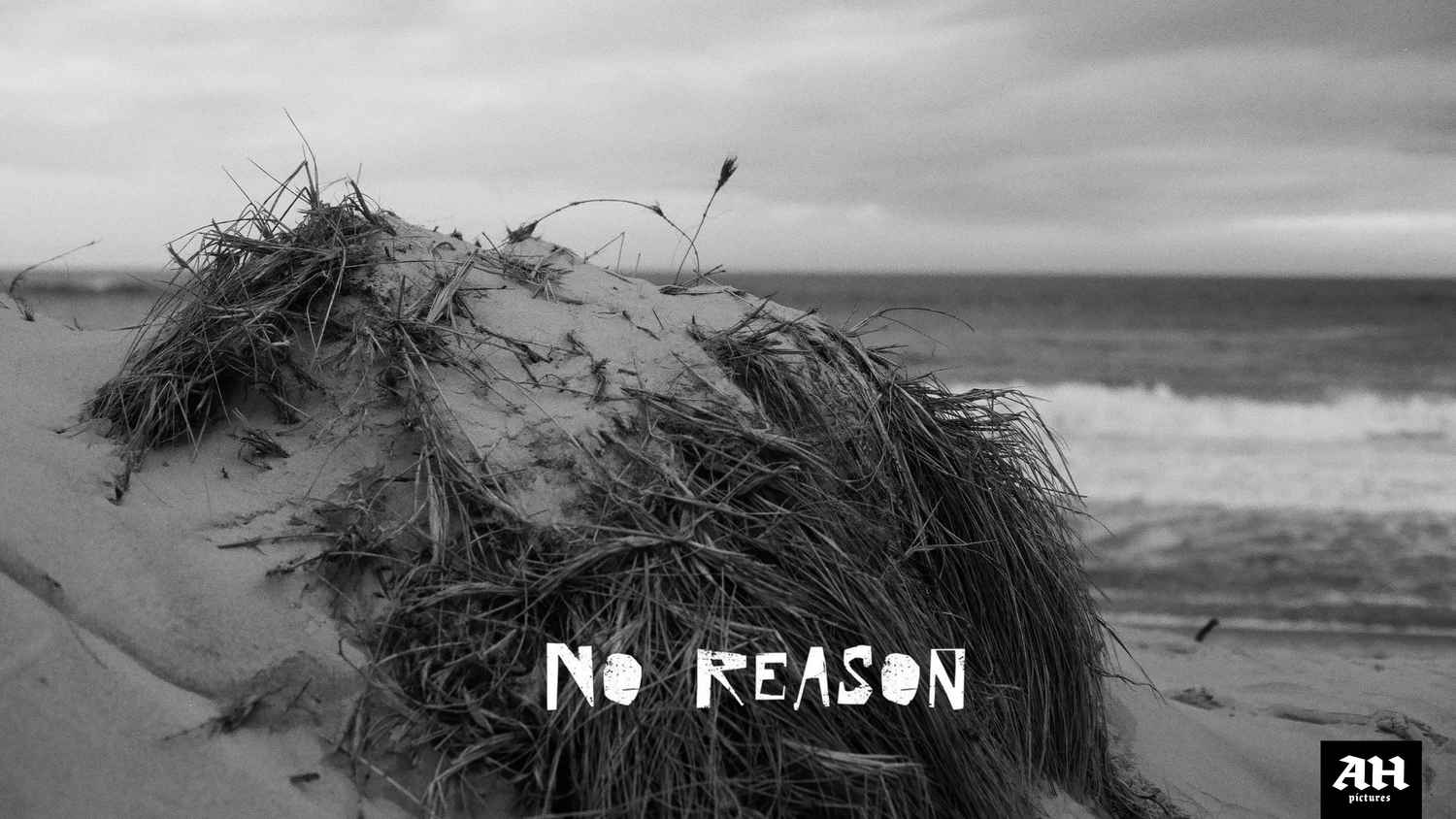 No Reason