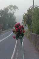 No Stone Unturned Poster 6