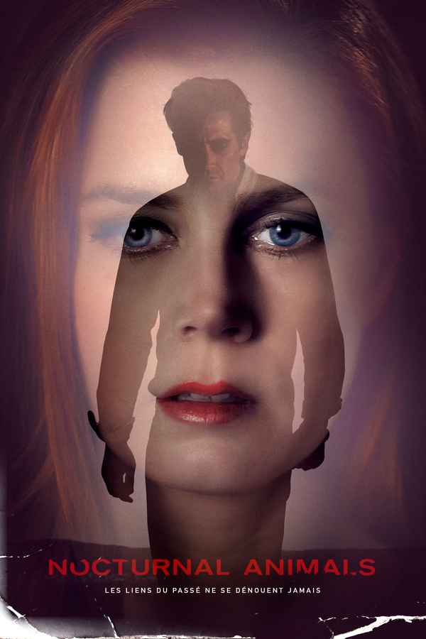 Nocturnal Animals Poster 7