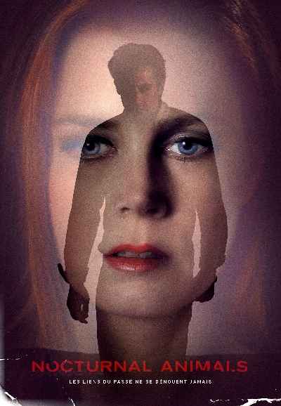 Nocturnal Animals