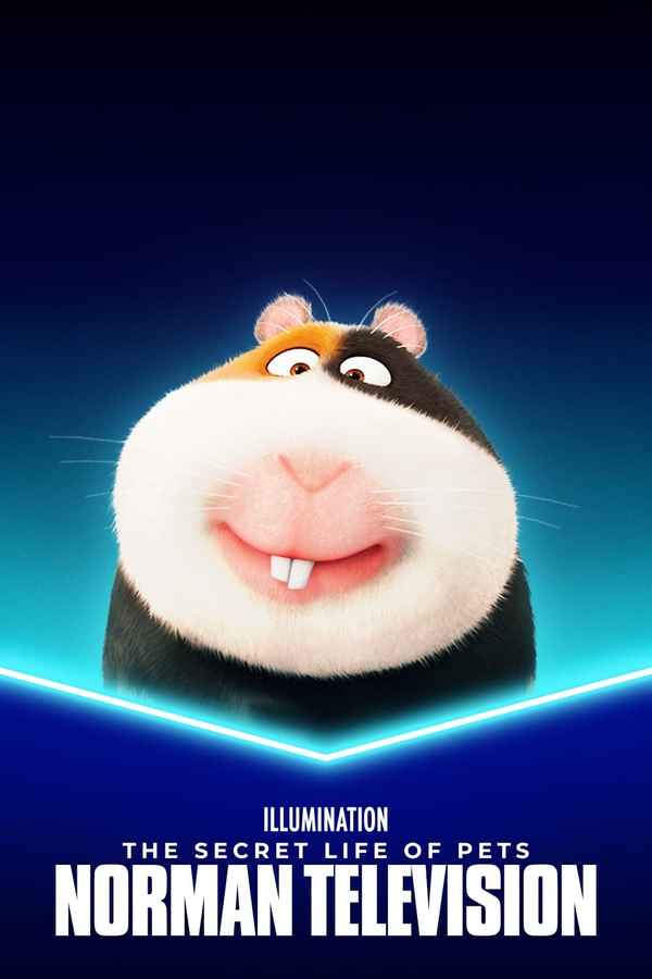 Norman Television Poster 4