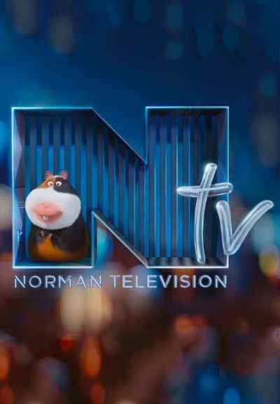 Norman Television