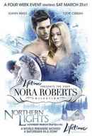 Northern Lights Poster 5