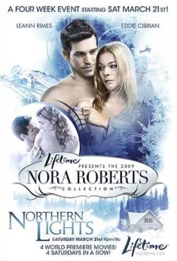 Northern Lights Poster 5