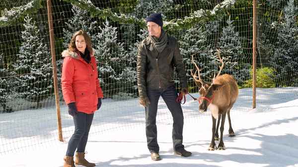 Northern Lights of Christmas Poster 5