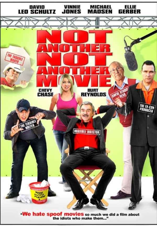 Not Another Not Another Movie Poster 3