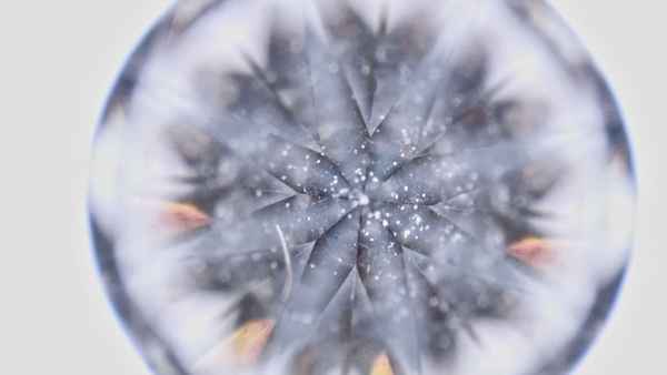 Nothing Lasts Forever Poster 1