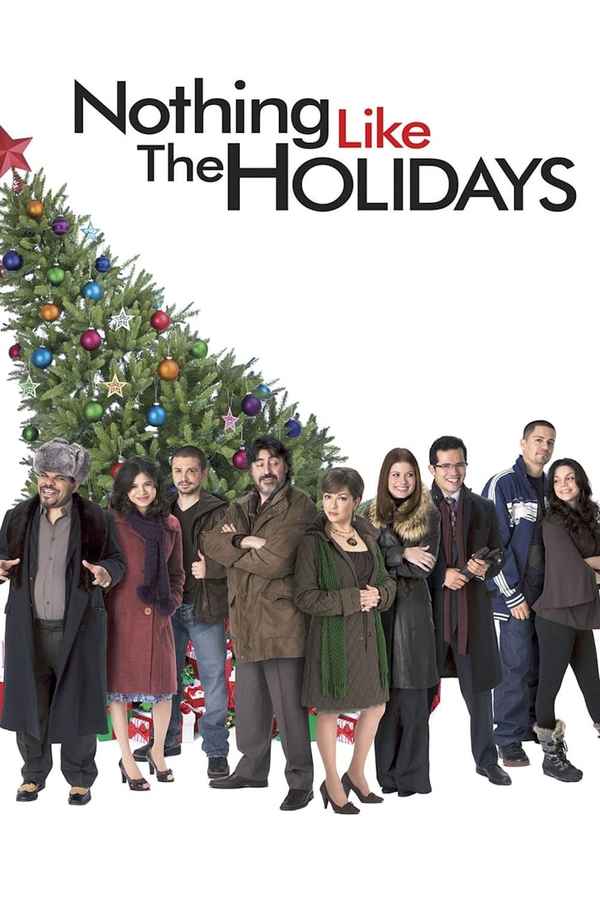 Nothing Like the Holidays Poster 7