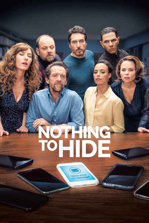 Nothing to Hide Poster 5
