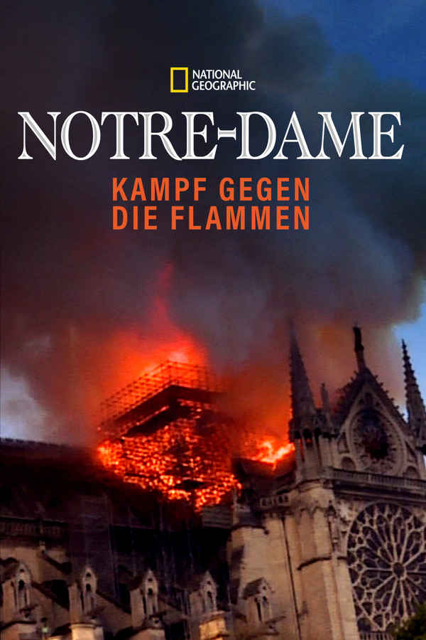 Notre Dame - Race Against The Inferno Poster 2