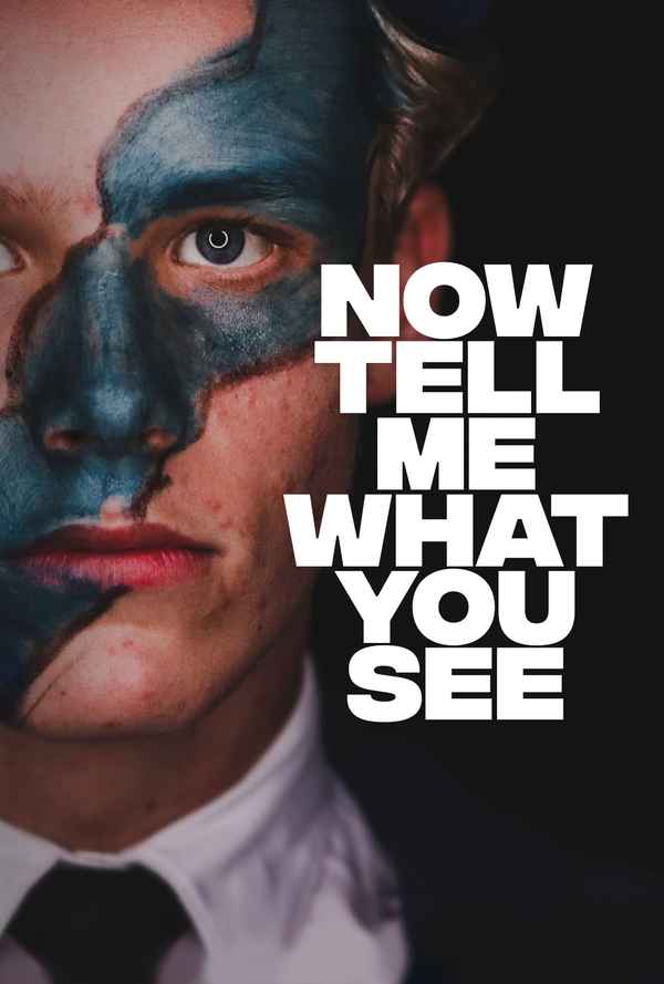 Now Tell Me What You See Poster 4