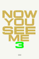 Now You See Me: Now You Don't Poster 1