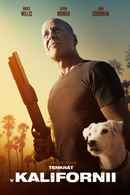 Once Upon a Time in Venice Poster 6