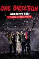 One Direction: Where We Are – The Concert Film Poster 4