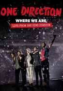 One Direction: Where We Are – The Concert Film Poster 6