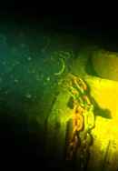 One Last Dive Poster 4