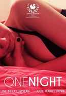 One Night Poster 4