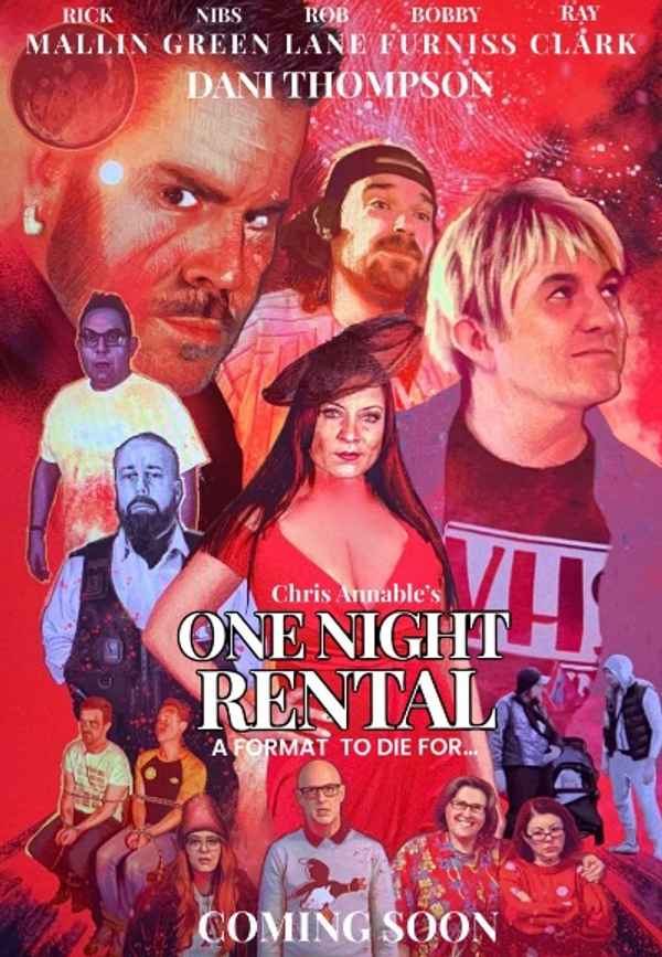 One Night Rental Poster 3