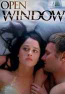 Open Window Poster 6