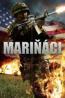 Operation Rogue Poster 7