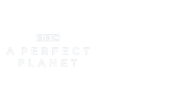 A Perfect Planet Poster 2