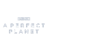 A Perfect Planet Poster 3