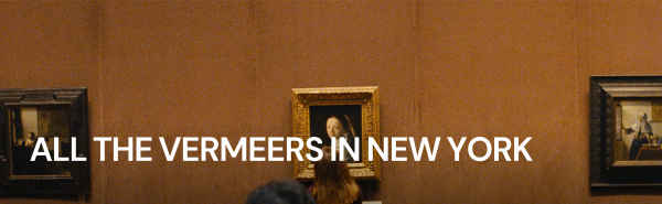 All the Vermeers in New York Poster 5