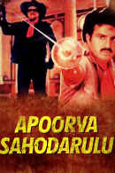 Apoorva Sahodarulu Poster 2