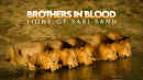 Brothers in Blood: Lions of Sabi Sand Poster 7