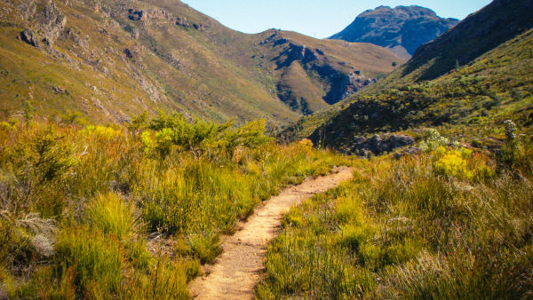discovery+ Immersions: Mountain Trails Poster 3