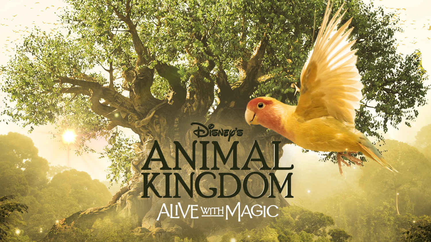 Disney's Animal Kingdom - Alive with Magic