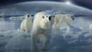 Frozen Planet Poster 1