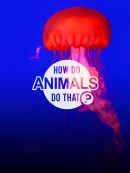 How Do Animals Do That Poster 4