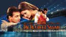 Hum Dil De Chuke Sanam Poster 6