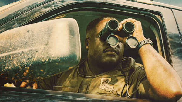 Louisiana Law Poster 3