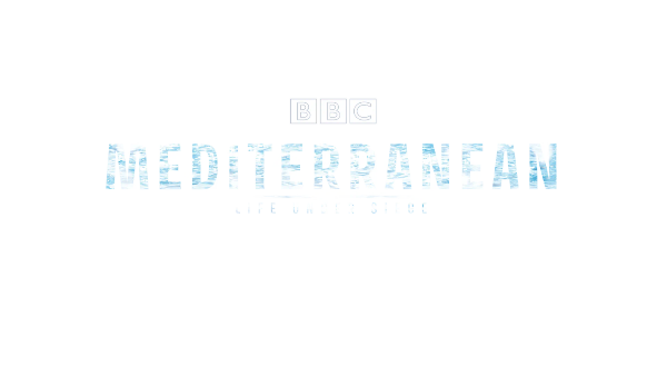 Mediterranean: Life Under Siege Poster 3