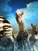 Nature's Great Events Poster 5