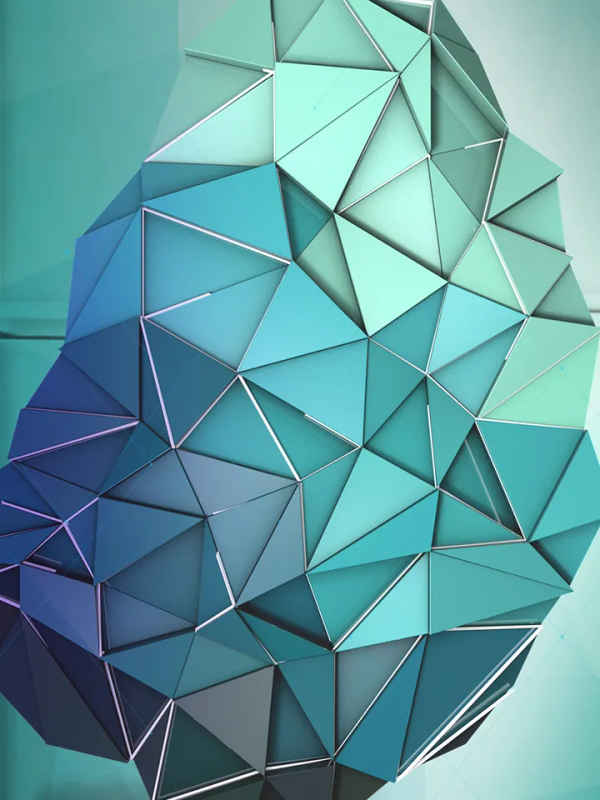 Outrageous Acts Of Psych Poster 6