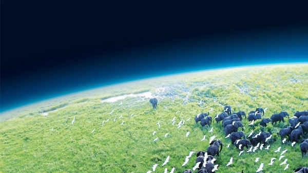 Planet Earth Poster 2