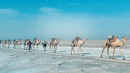 Revealed: Rann of Kutch Poster 1