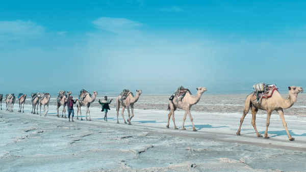 Revealed: Rann of Kutch Poster 1