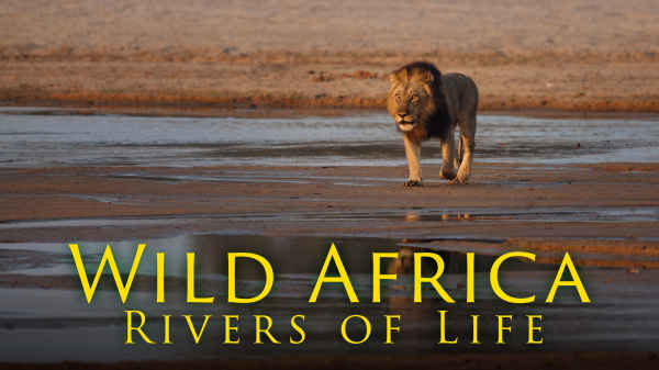 Wild Africa: Rivers of Life Poster 1