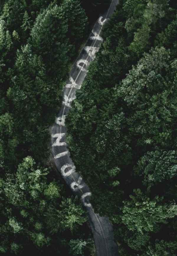 Ordinary Days Poster 5