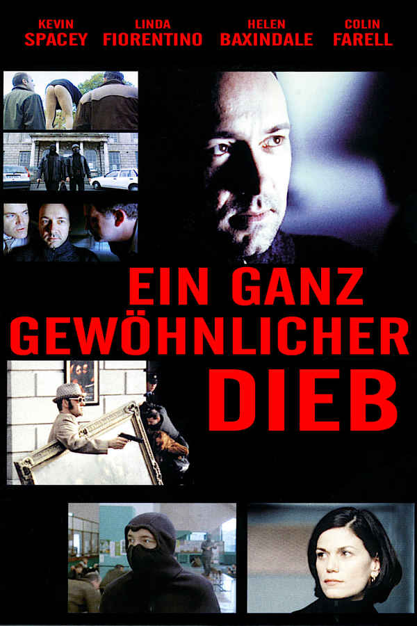 Ordinary Decent Criminal Poster 5