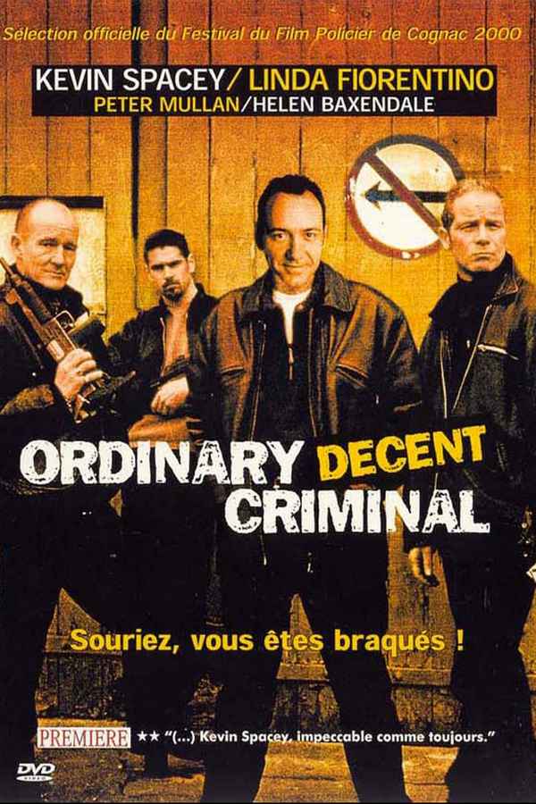 Ordinary Decent Criminal Poster 7