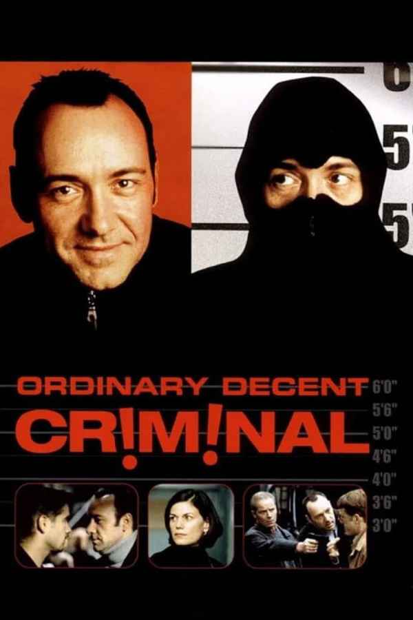 Ordinary Decent Criminal Poster 3